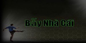 bay-nha-cai-la-gi